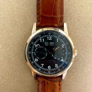 Citizen Eco-Drive, Black with Genuine Leather Band